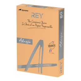 Papel Fotocópia Adagio A4 80g Cor Suave 97 Canela