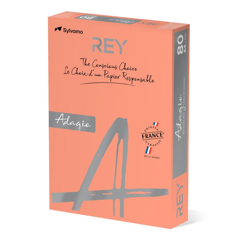 Papel Fotocópia Adagio A4 80g Cor Intenso 55 Pêssego Papel Fotocópia Adagio A4 80g Cor Intenso 55 Pêssego