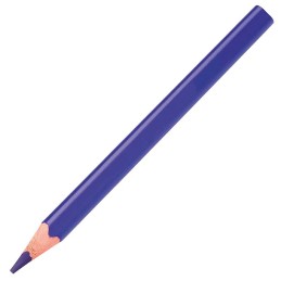 Lápis de Cores Campus Baby – 10 Cores + Apara-lápis
