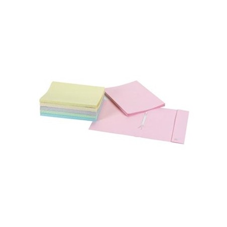 Pack 10 Classificadores em Cartolina com Ferragem Ancor 25-C Rosa